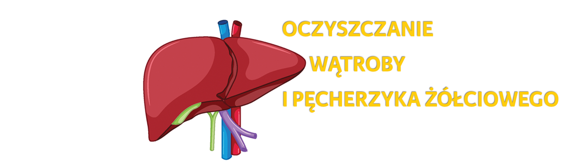 oczyszczanie watroby i pecherzyka